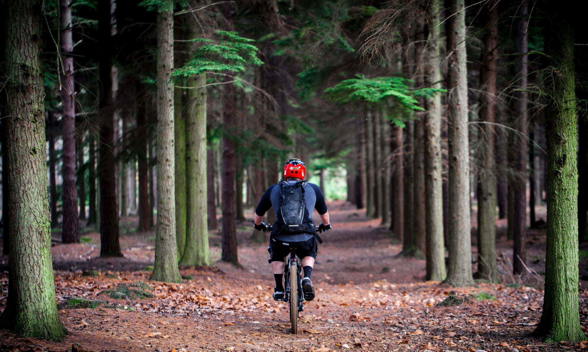 eBike Coaching